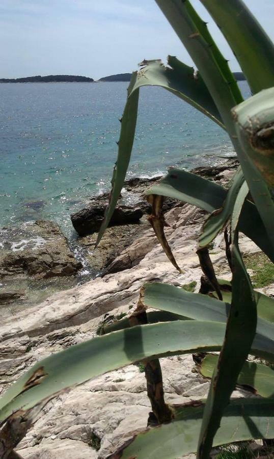 Liza'S Downtown Apartment Hvar Town Luaran gambar
